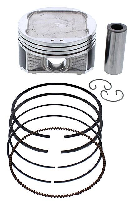 PISTON KIT CAST 91.98/STD 10.2:1 POL