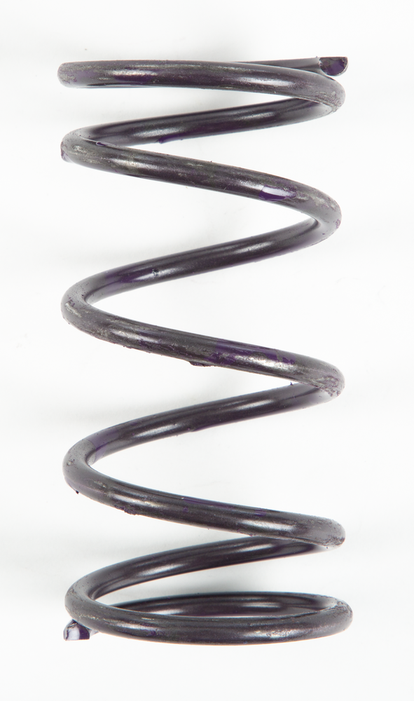 Clutch Spring