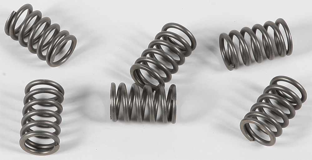 EBC CLUTCH SPRINGS CSK161