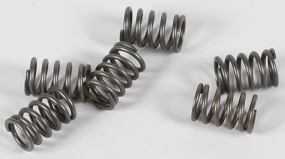 EBC CSK114 Clutch Spring Kit