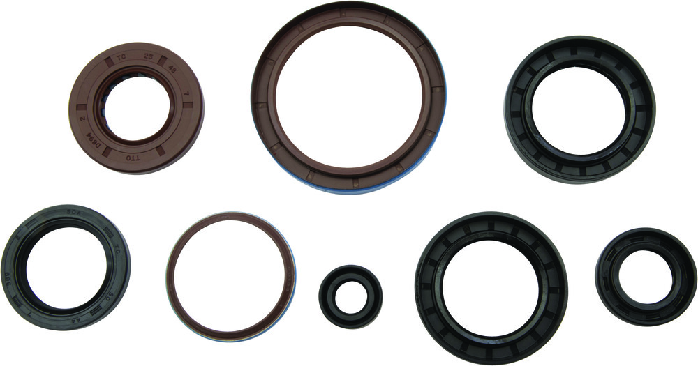 VERTEX OIL SEAL SET