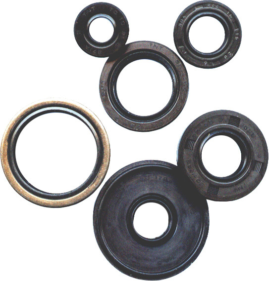 VERTEX OIL SEAL SET