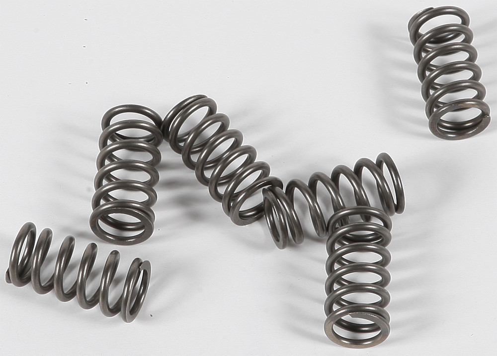 EBC CLUTCH SPRINGS CSK139