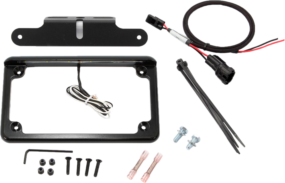 LICENSE PLATE W/ LED