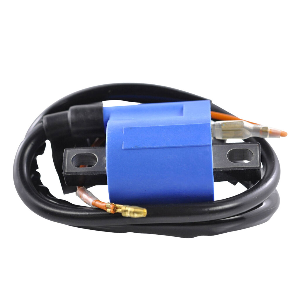 RM STATOR EXTERNAL IGNITION COIL W/SPARK PLUG CAP