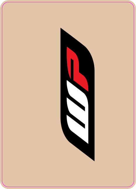 D-COR FORK TUBE GRAPHIC (WP)