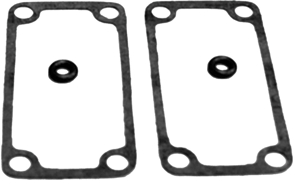 Exhaust Valve Gasket Kit