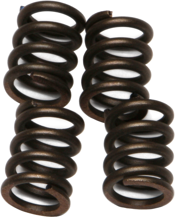 Clutch Springs