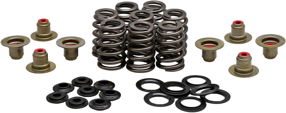 KPMI BEEHIVE VALVE SPRING KIT .550 LIFT  M8`17-24 NON VVT