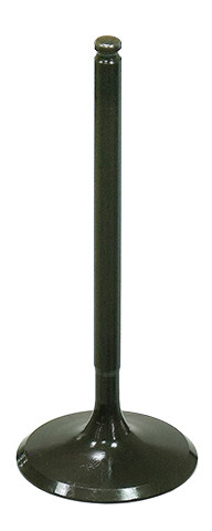 BRONCO INTAKE VALVE