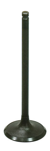 BRONCO INTAKE VALVE