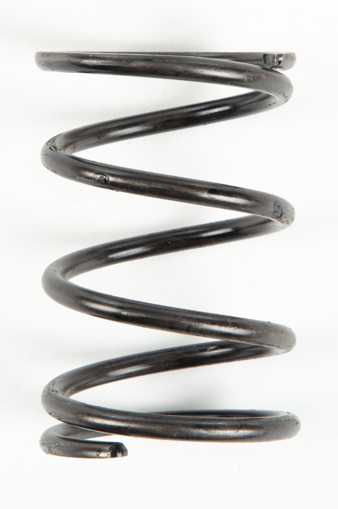 Clutch Spring