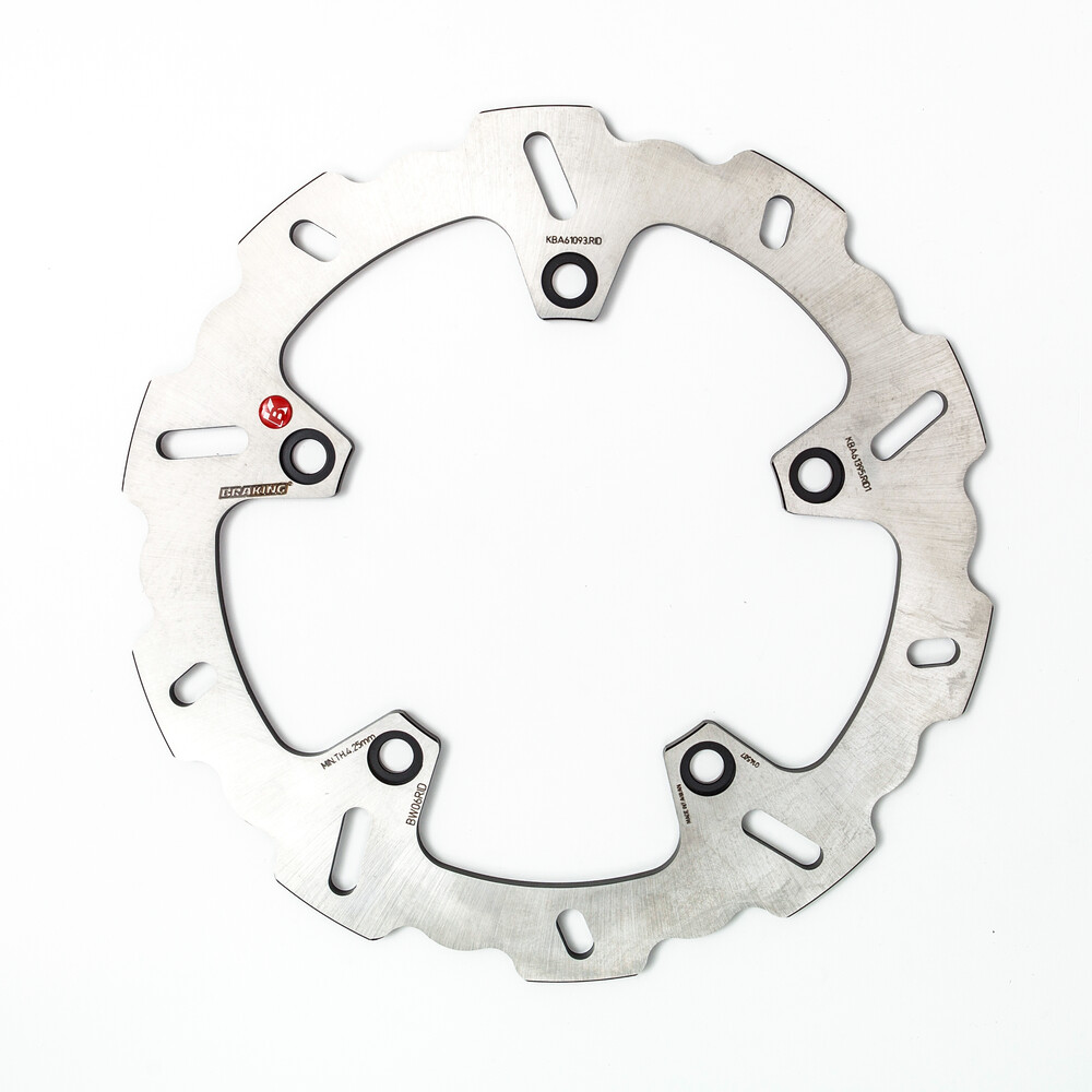 BRAKING ROTOR REAR