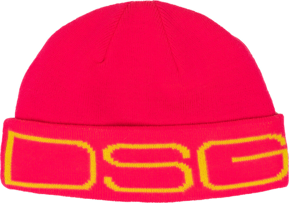 Dsg Logo Beanie — Hot Pink