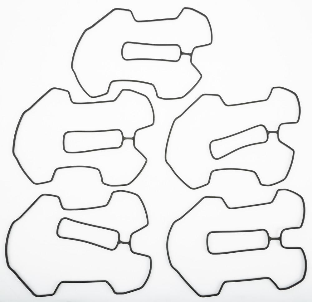 ROCKER BOX-CYLINDER HEAD SEAL 5/PK 25700425