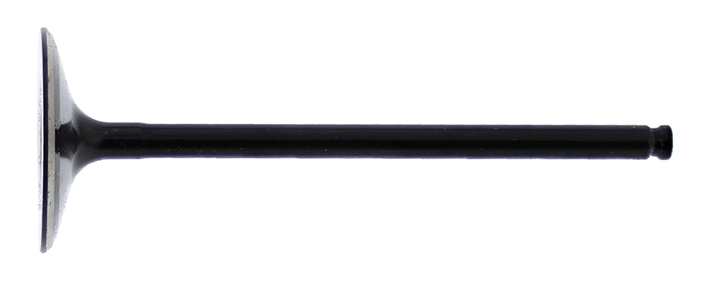 Hot Cams Intake Valve Steel Pol