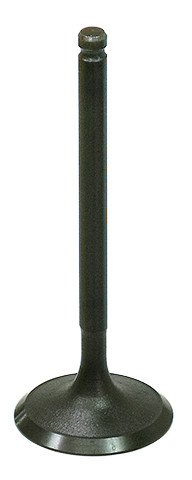 BRONCO INTAKE VALVE