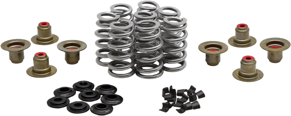 KPMI BEEHIVE VALVE SPRING KIT .640 LIFT  M8`17-24 NON VVT