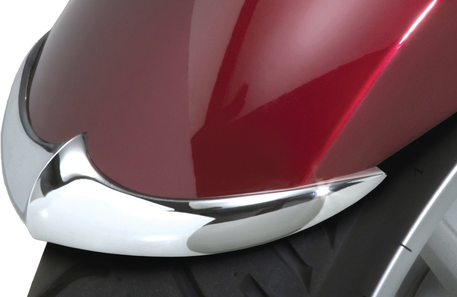 NATIONAL CYCLE CAST FRONT FENDER TIP