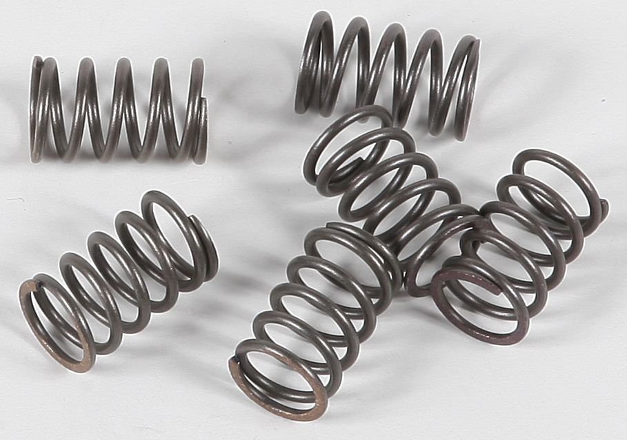 EBC CLUTCH SPRINGS CSK18