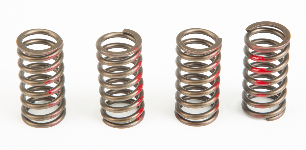 CLUTCH SPRINGS
