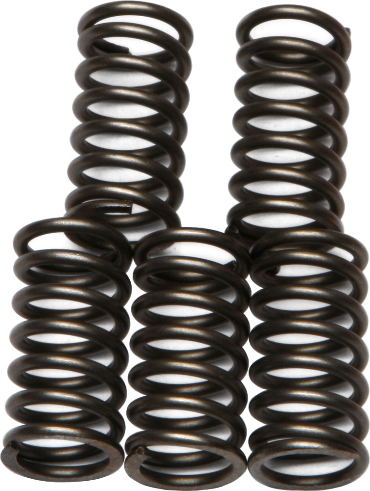 EBC CLUTCH SPRINGS CSK65
