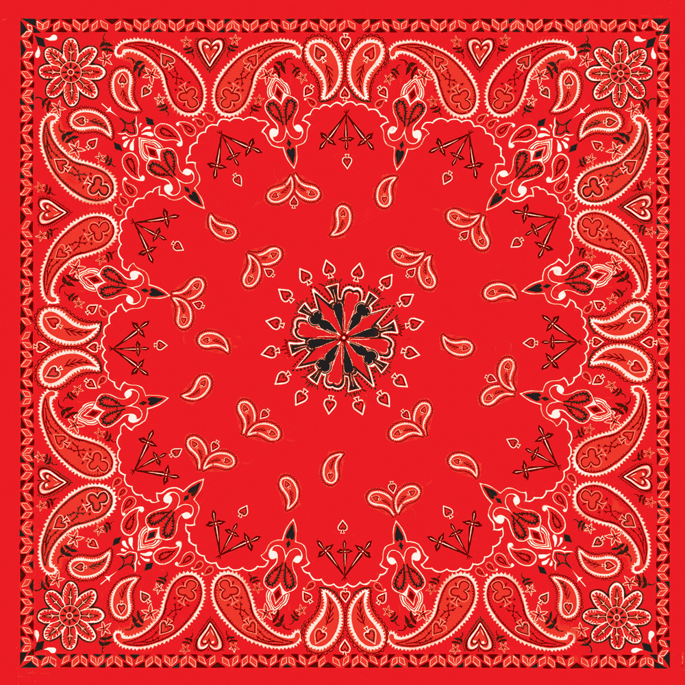 BANDANNA RED PAISLEY