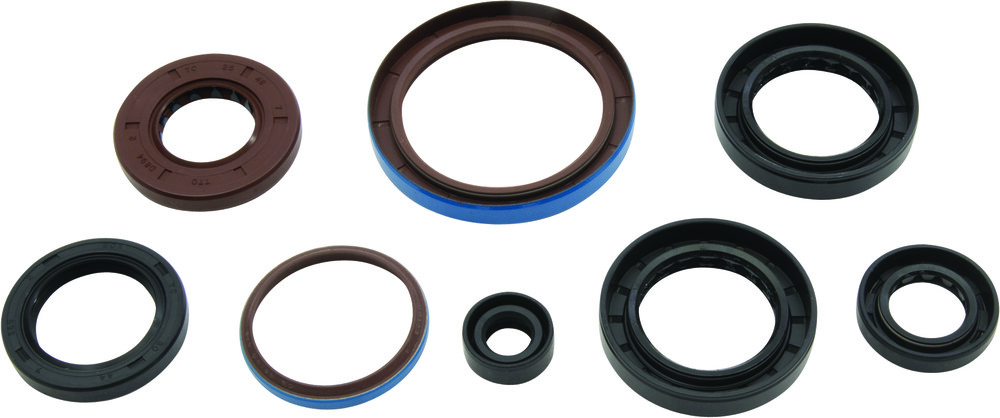 VERTEX OIL SEAL SET