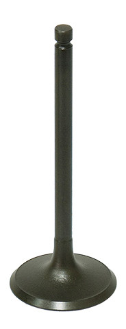 Namura Intake Valve