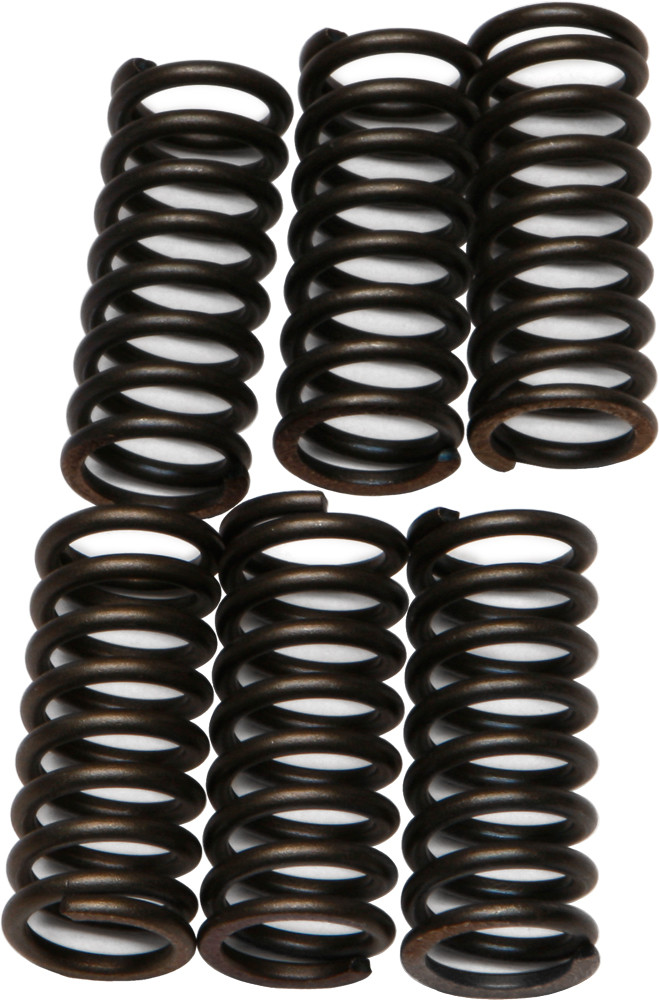 EBC CSK29 Clutch Spring Kit