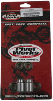 PIVOT WORKS SWINGARM KIT
