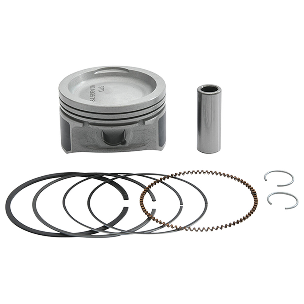 VERTEX PISTON KIT CAST 79.95/STD 10.2:1 POL