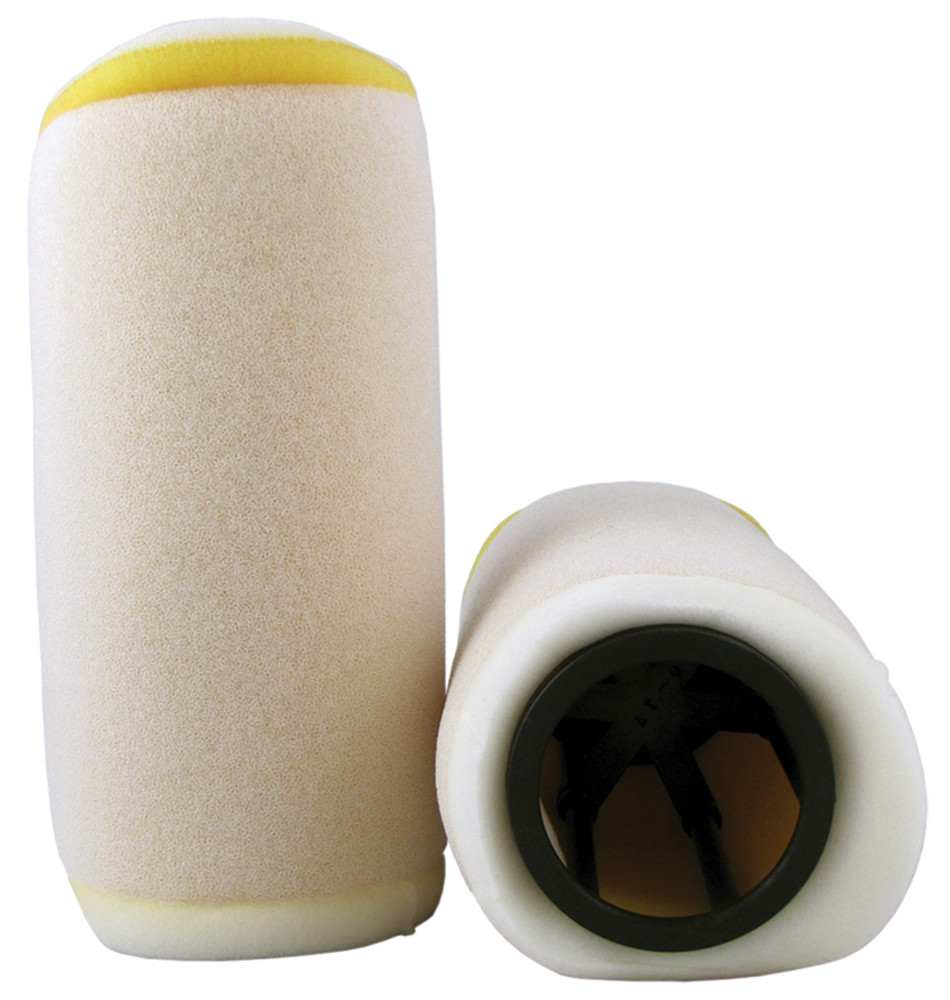 Foam Air Filter with Cage