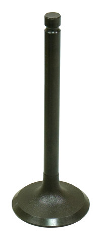 BRONCO EXHAUST VALVE