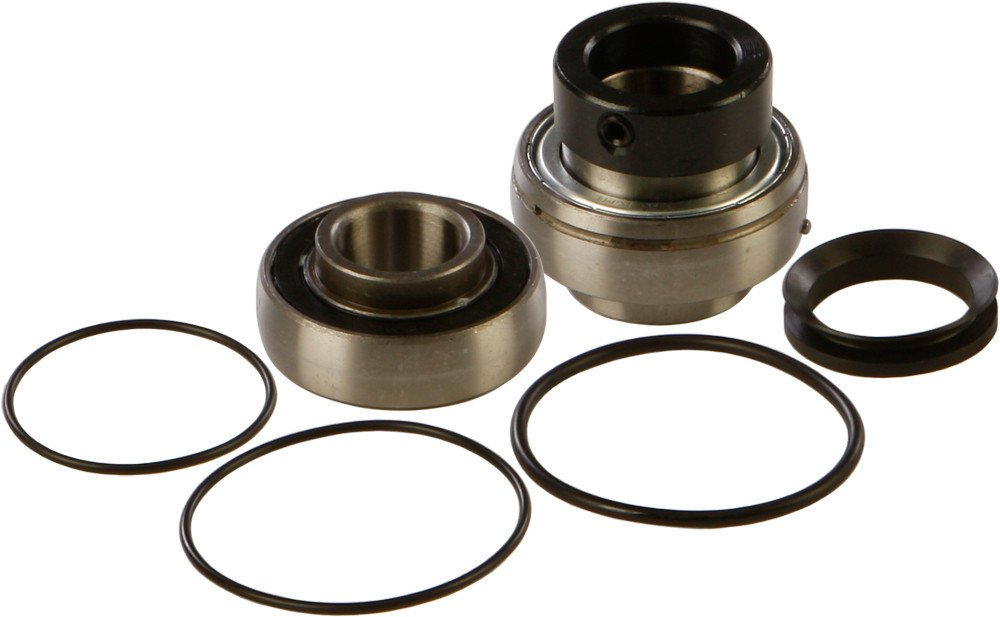 CHAIN CASE BEARING & SEAL KIT