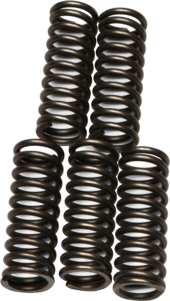 EBC CLUTCH SPRINGS CSK73