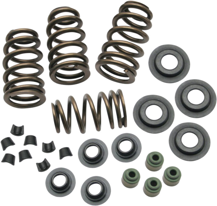 BEEHIVE CONVERSION SPRING KIT EVO BT 84-03 .650 LIFT