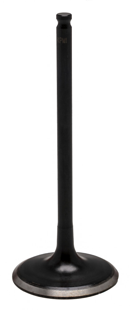 Kpmi Black Diamond Intake Valve