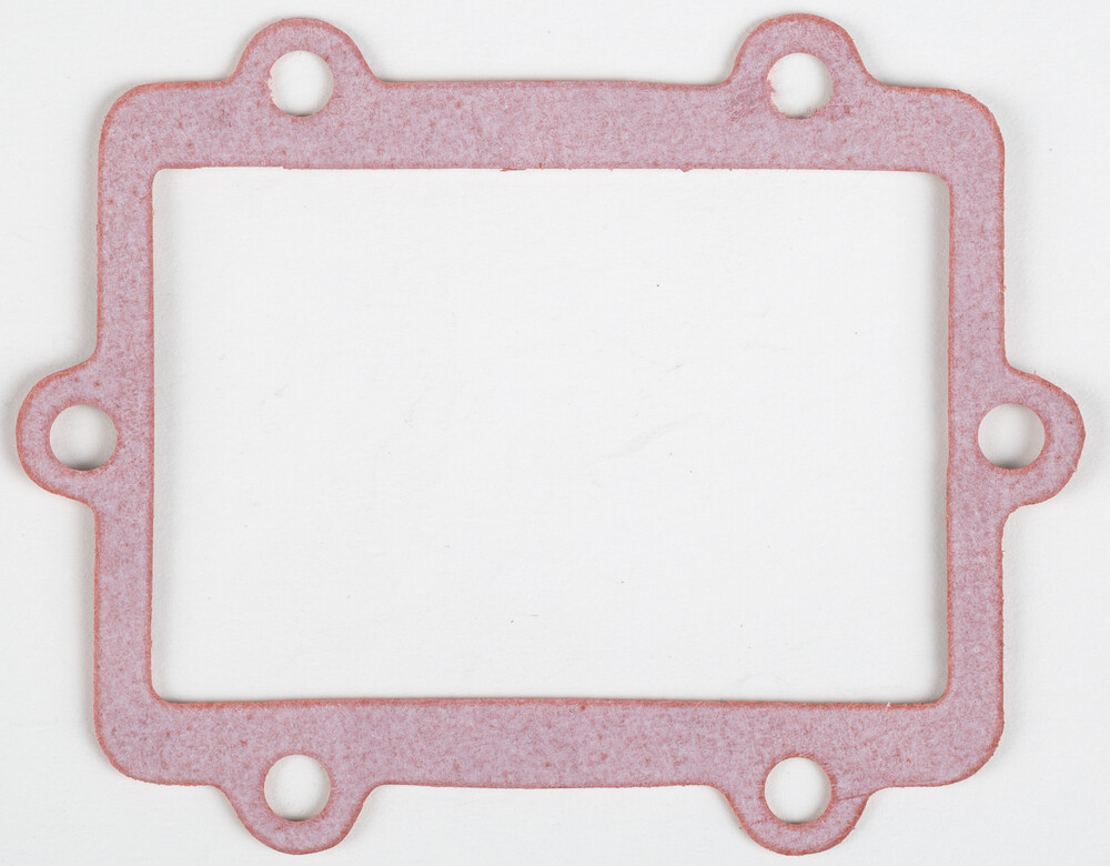 MOTORCYCLE RAD GASKET