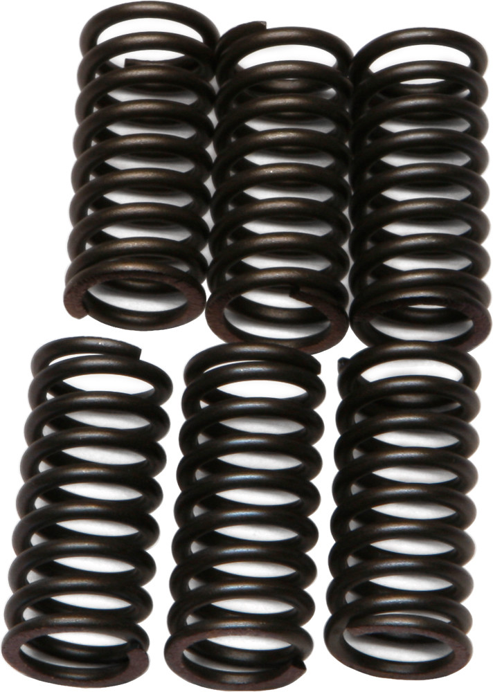 EBC CSK24 Clutch Spring Kit
