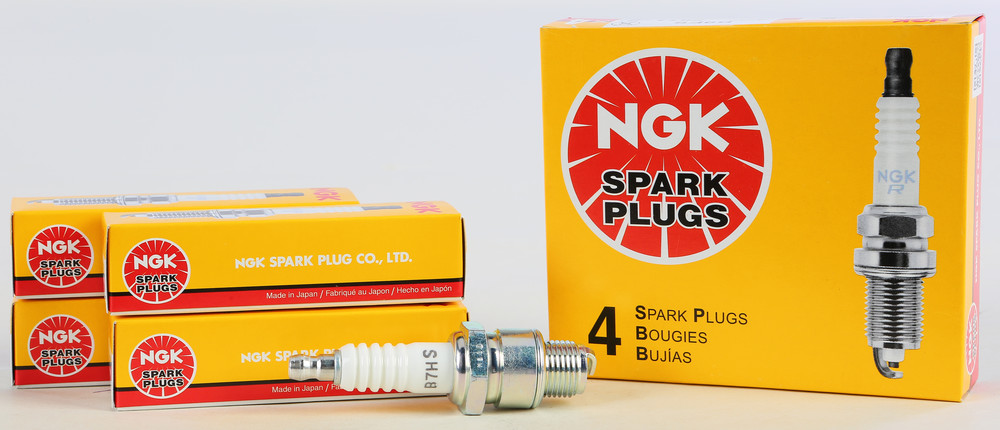 NGK SPARK PLUG #5110/04