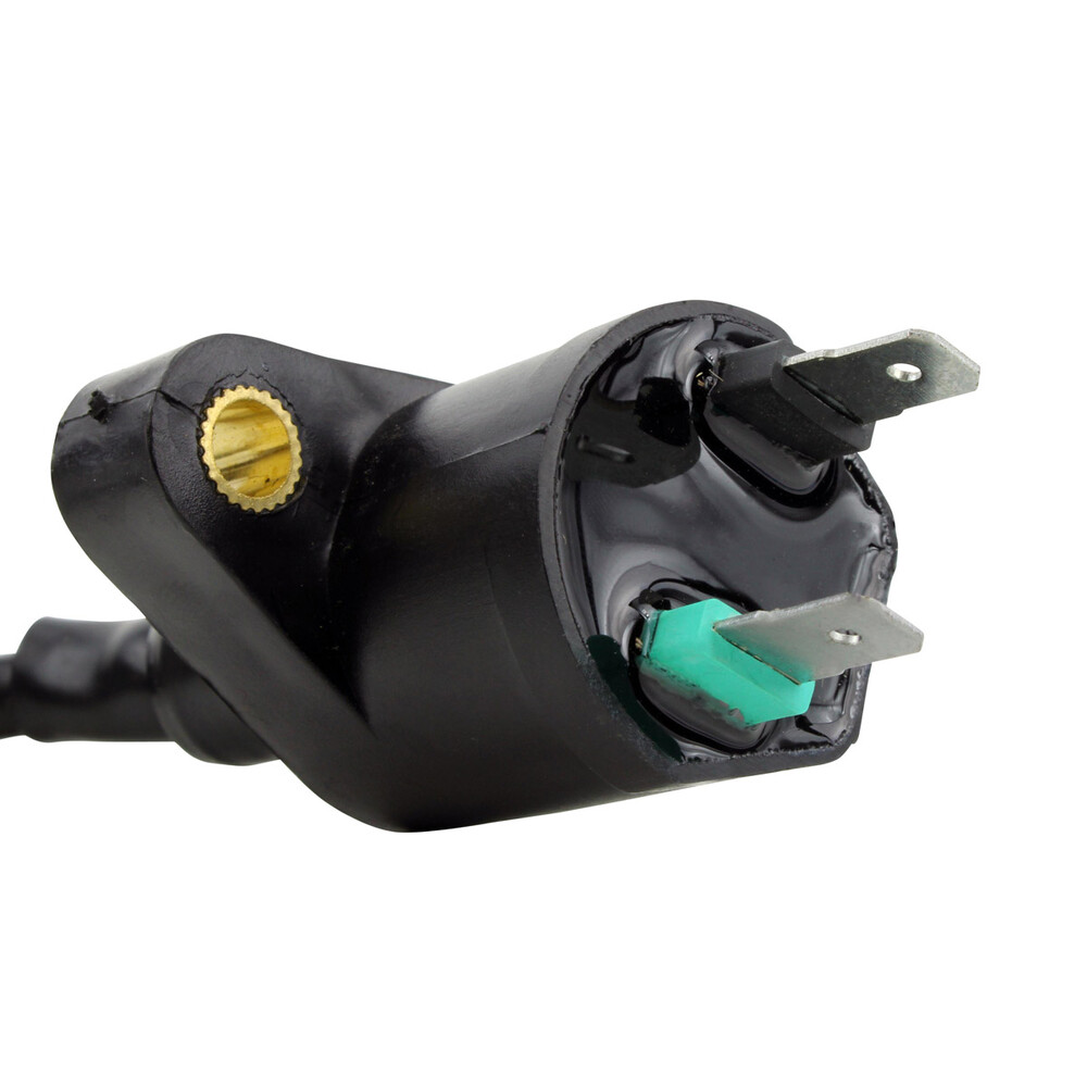 RM STATOR EXTERNAL IGNITION COIL W/SPARK PLUG CAP