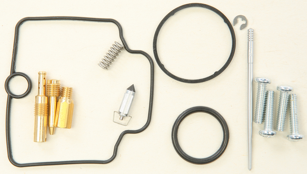 Carburetor Repair Kit