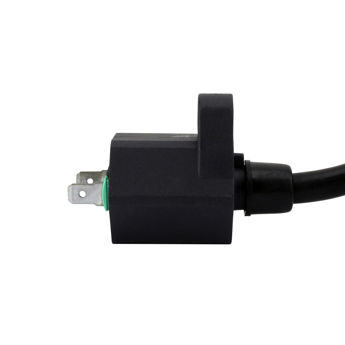 External Ignition Coils