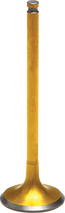 KPMI Intake Valve - View 1