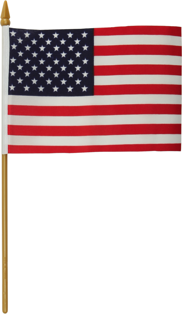 HARDDRIVE USA Flag w/Pole - View 1