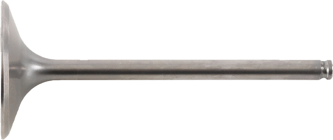 Intake Valve