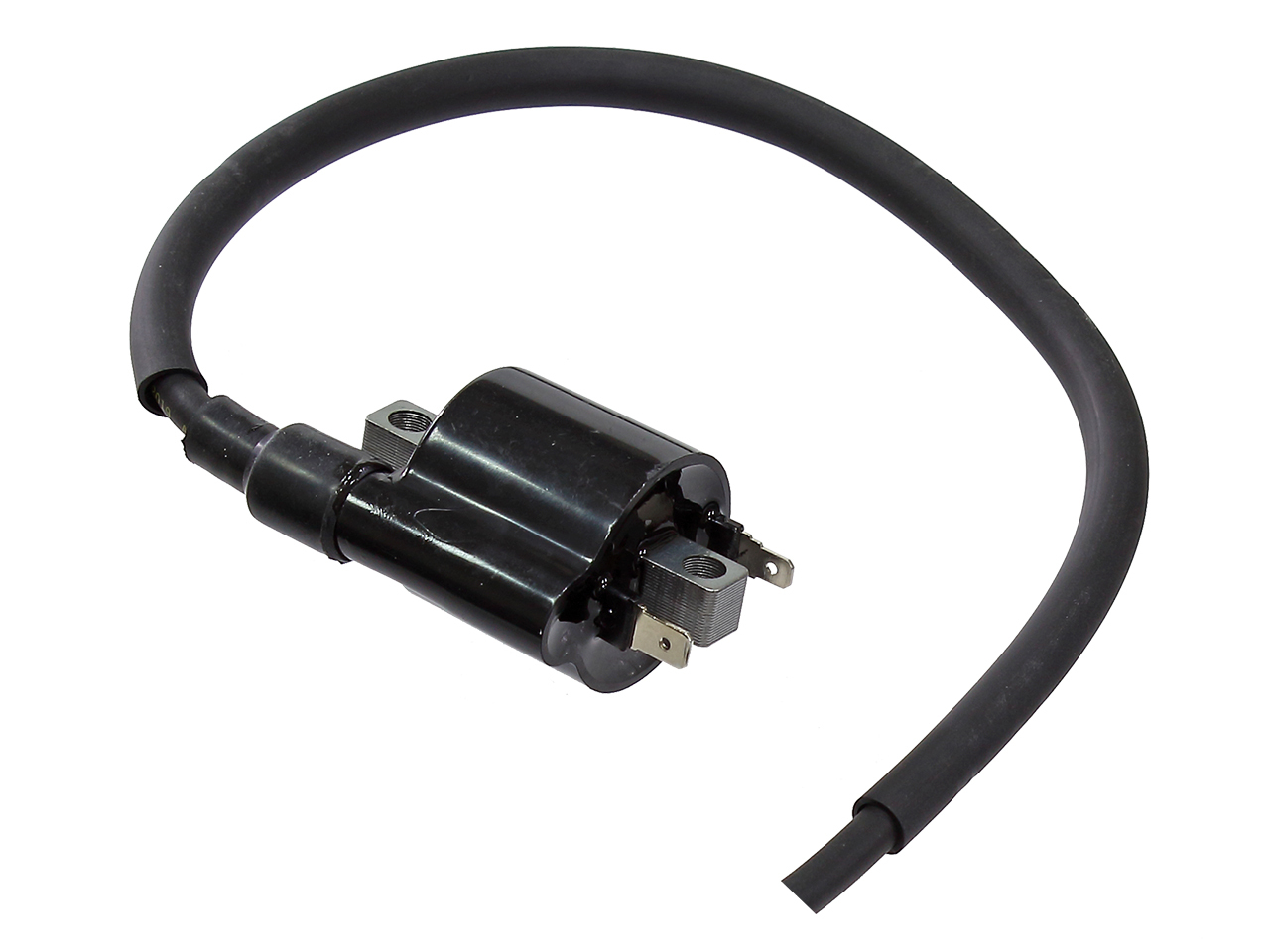 ATV Ignition Coil
