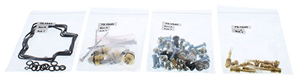 Carburetor Rebuild Kit