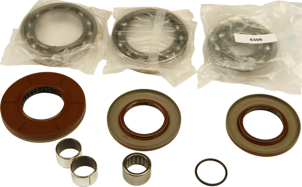 Differential Bearing & Seal Kit